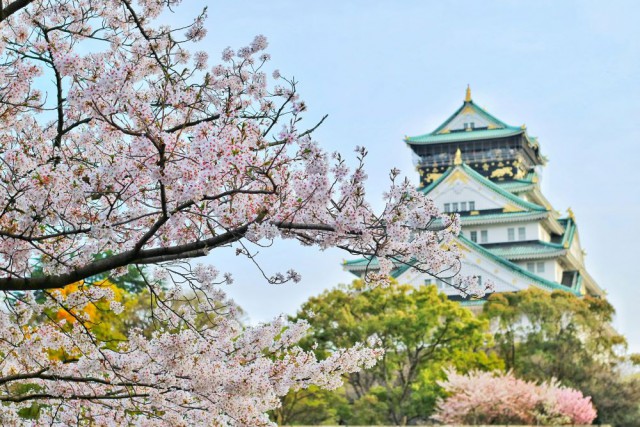 Międzynarodowy obóz językowo-kulturowy w Japonii