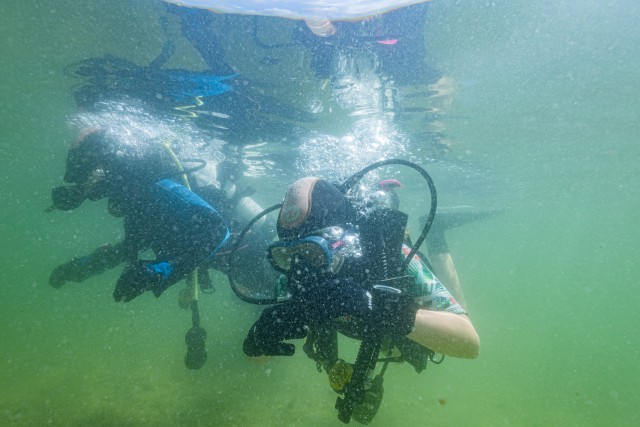 Obóz przygody z nurkowaniem - Bąbelkowiec Srebrny