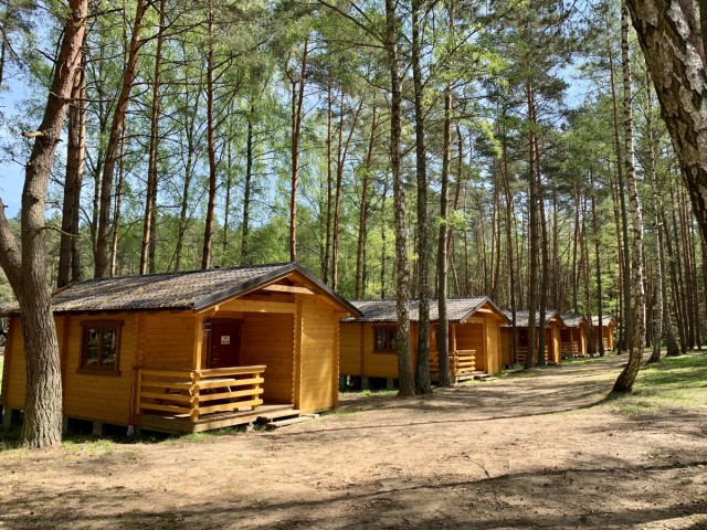 Leśna Szkoła Przygody w Borach Tucholskich 5 dni