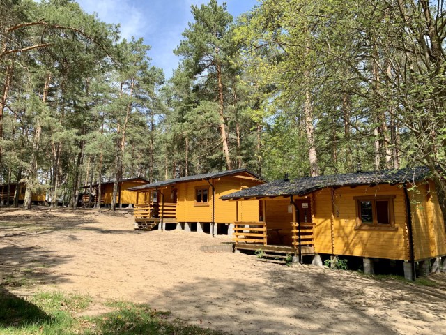 Leśna Szkoła Przygody w Borach Tucholskich 5 dni