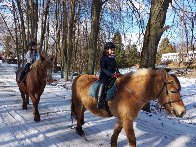 Zimowy obóz przygodowy z jazdą konną
