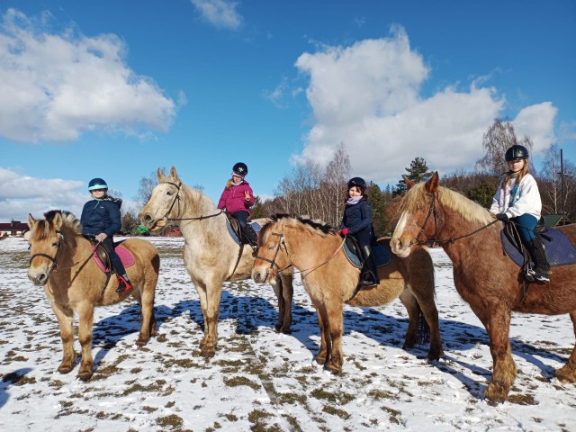 Zimowy obóz przygodowy z jazdą konną
