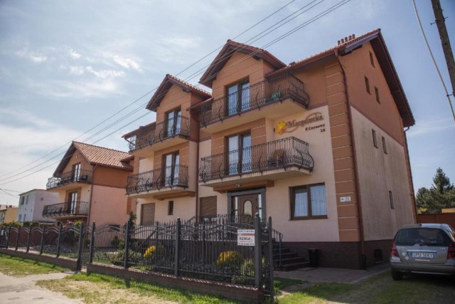 Obóz Windsurfingowy - program podstawowy