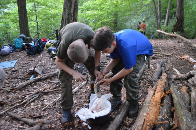 Guerrillas - ASG Survival Quest