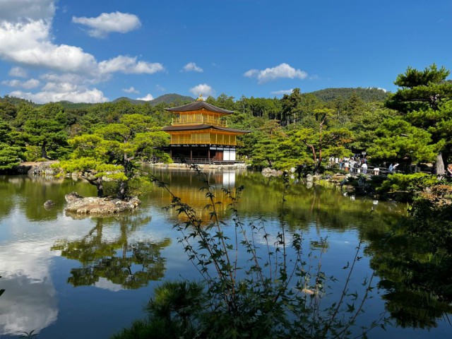 Międzynarodowy obóz językowo-kulturowy w Japonii