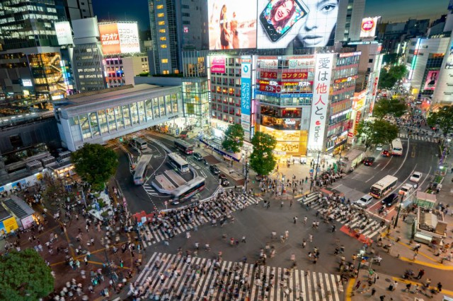 Międzynarodowy obóz językowo-kulturowy w Japonii