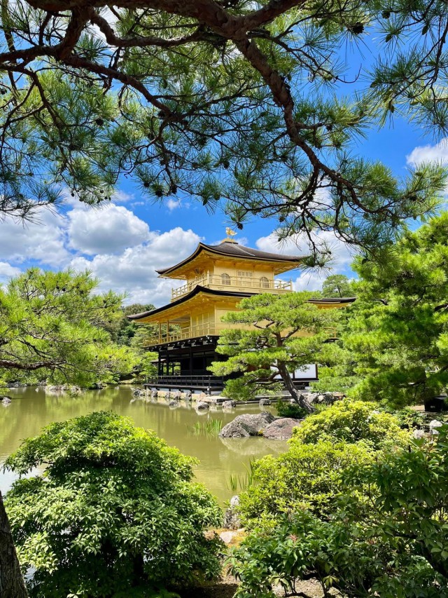 Międzynarodowy obóz językowo-kulturowy w Japonii
