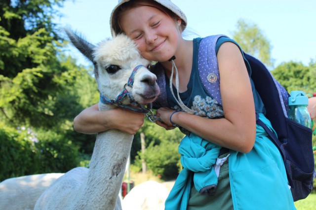 Zdecydowanie Aktywnie