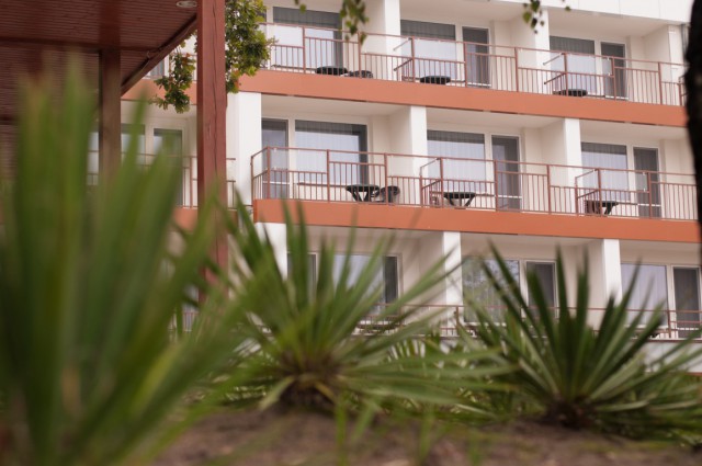 Zielona Szkoła w Wielkopolsce 3 dni