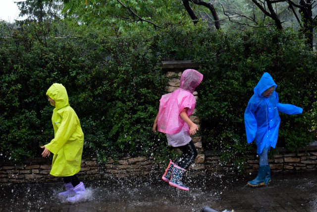 Moja Pierwsza Kolonia na Jurze