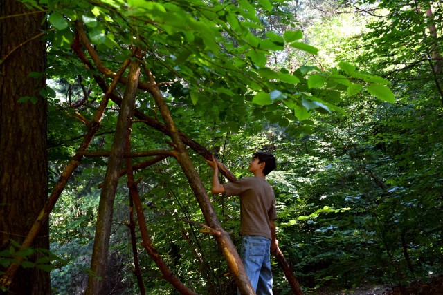 Kolonia z Elementami Survivalu na Jurze
