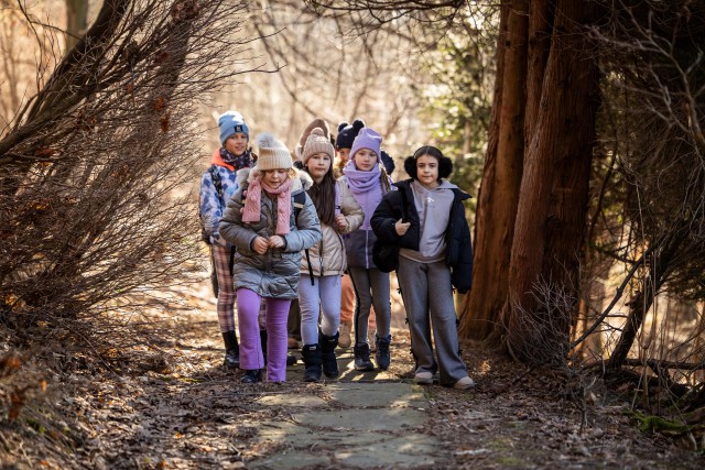 wInterkamp Junior - Teatr&Taniec&Muzyka