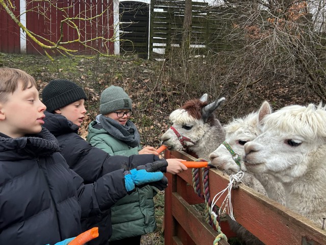 Quady, paintball i wspinaczka - zimowisko dla Chłopców