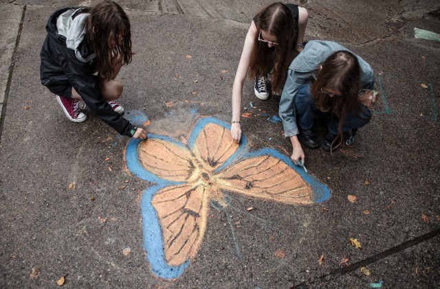 Interkamp Junior - Kolonia Plastyczna