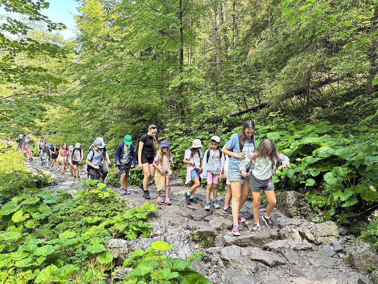 Górska Kolonia Akcji w Tatrach