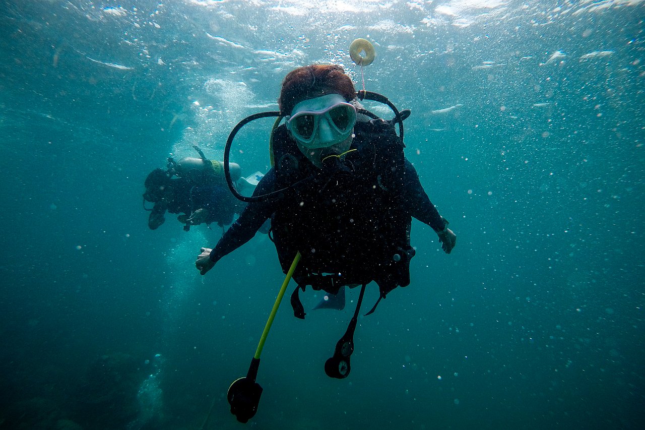 Obóz nurkowy - kurs certyfikowany P1 CMAS